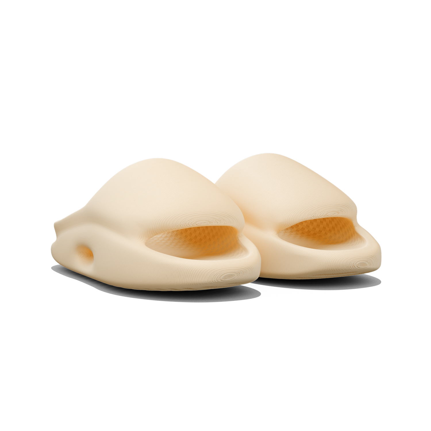 Vaquita Slide mysite