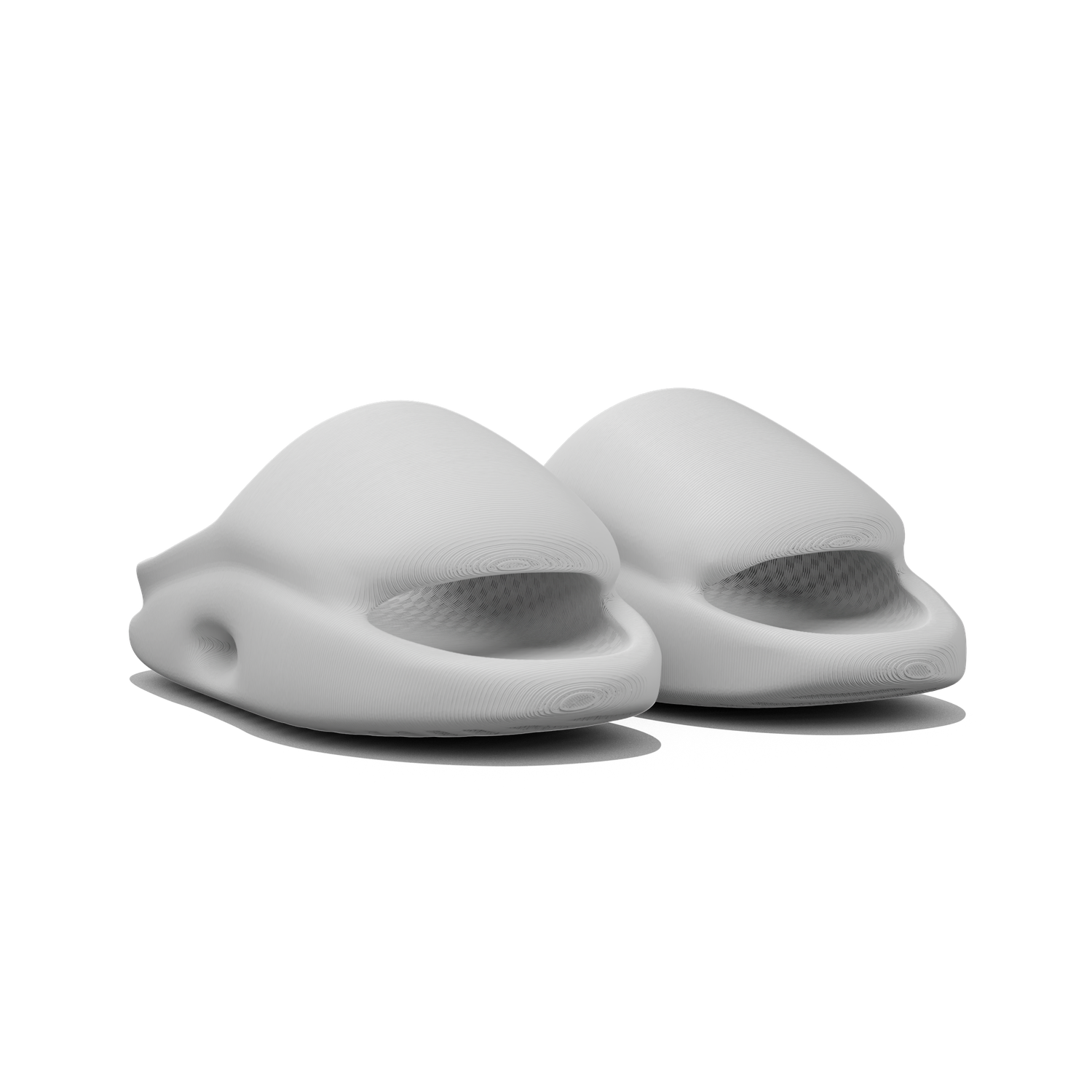 Vaquita Slide mysite