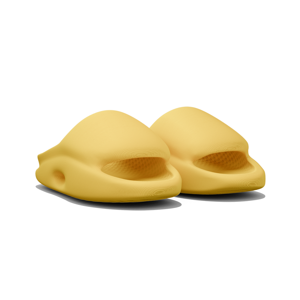 Vaquita Slide mysite