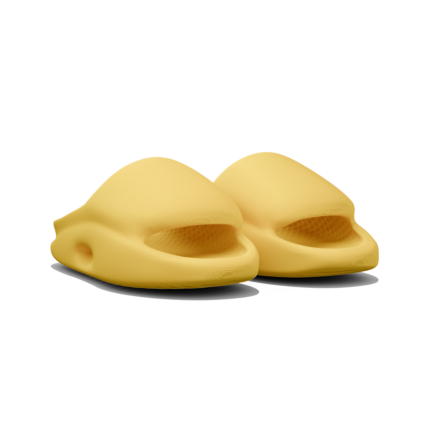 Vaquita Slide mysite