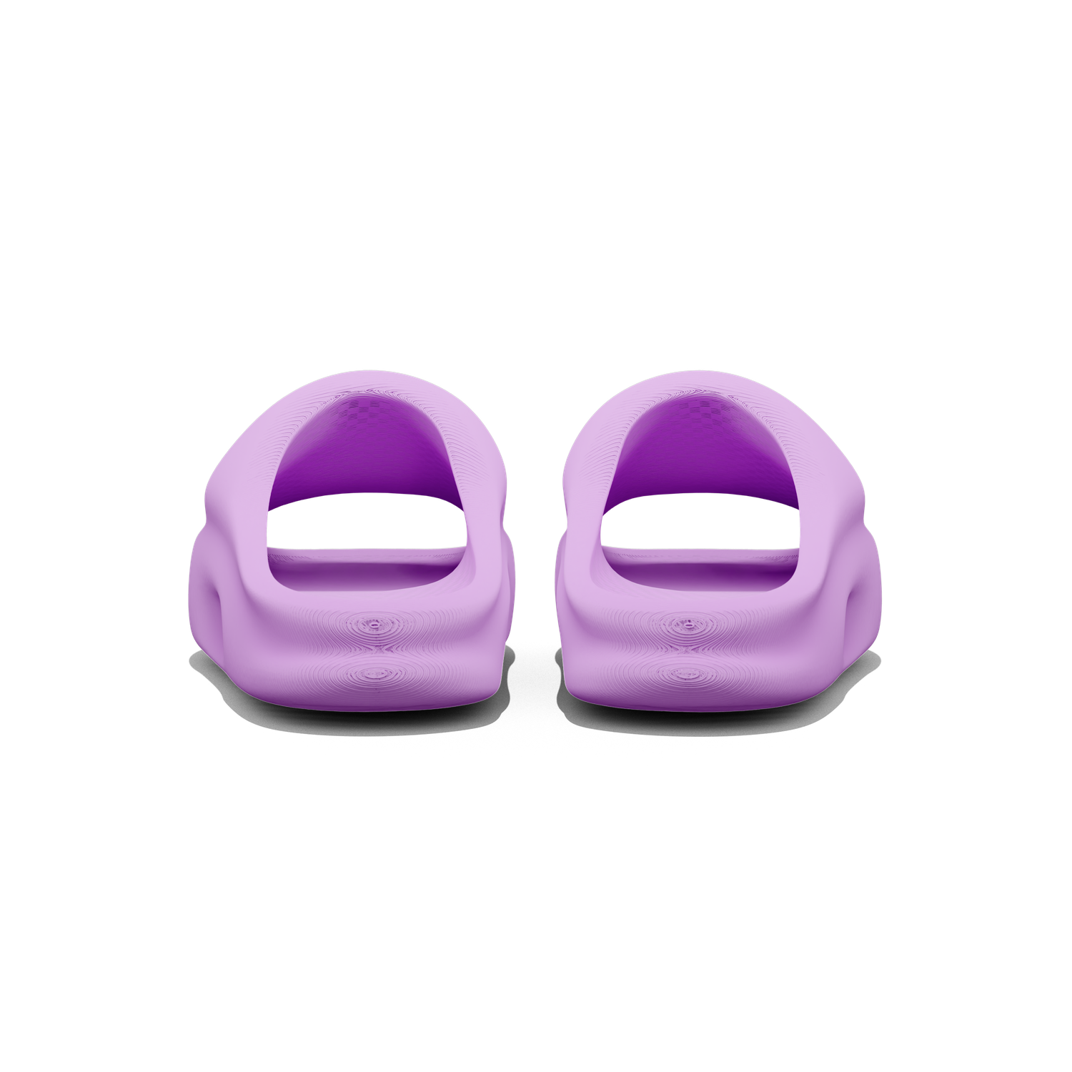 Vaquita Slide mysite