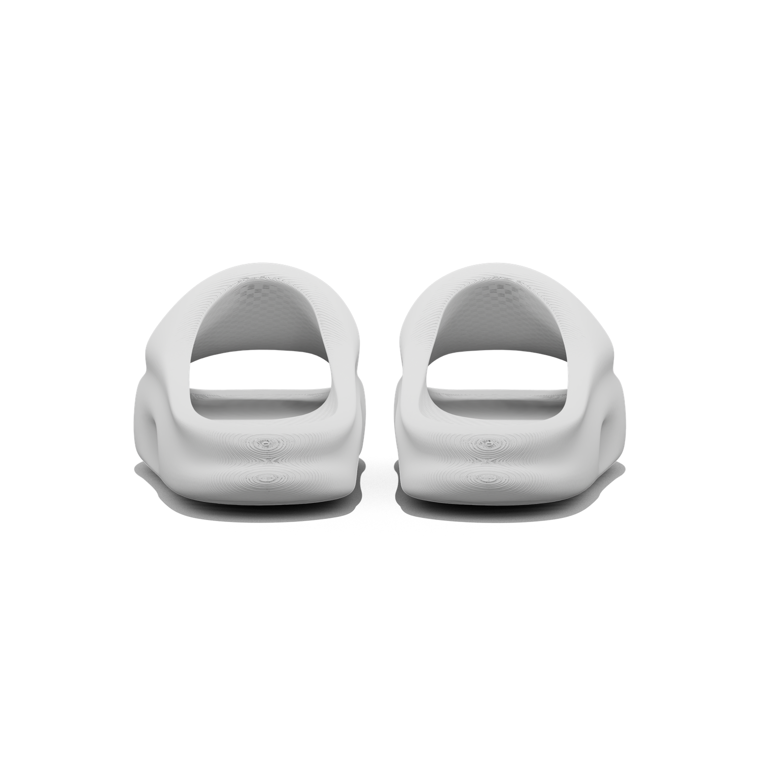 Vaquita Slide mysite