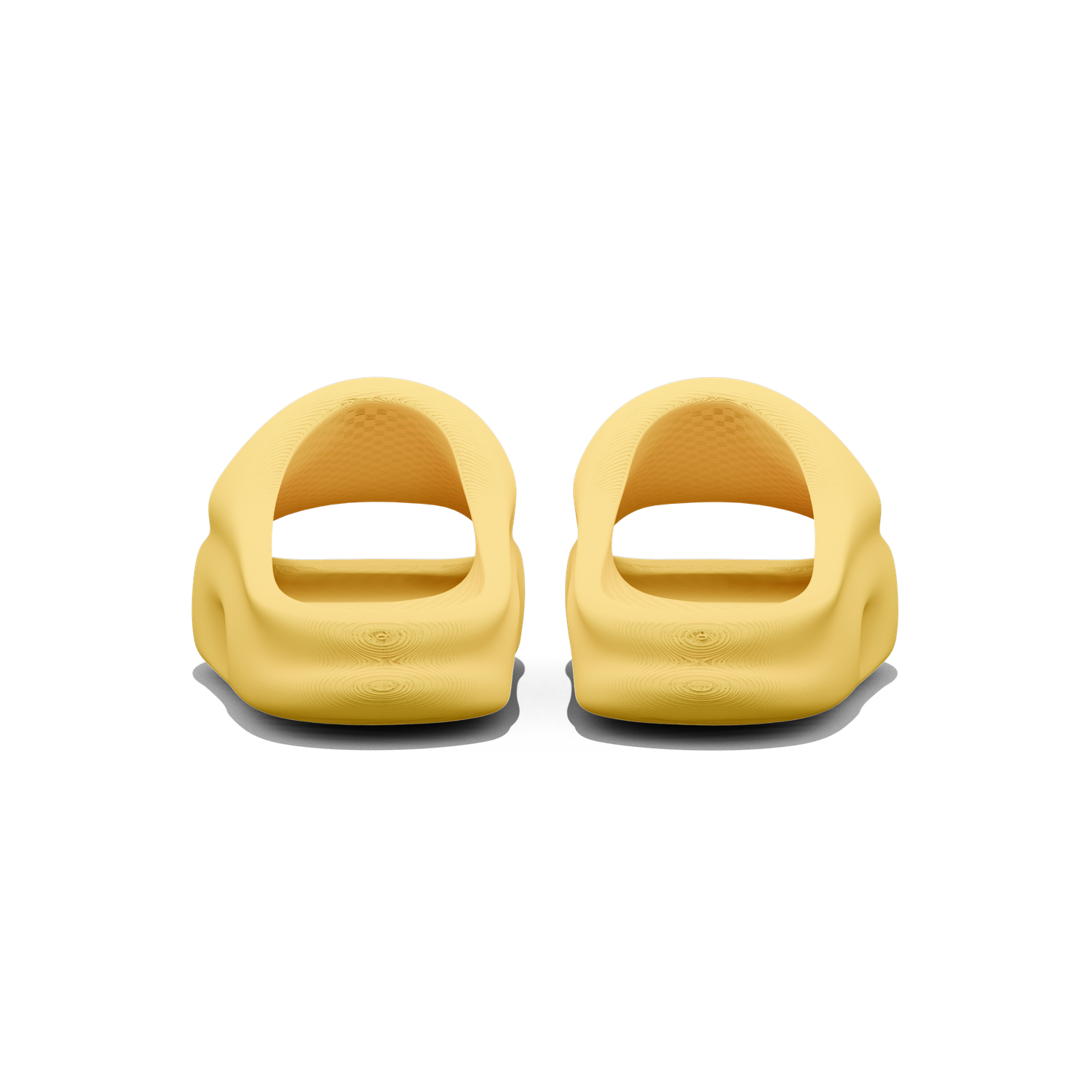 Vaquita Slide mysite