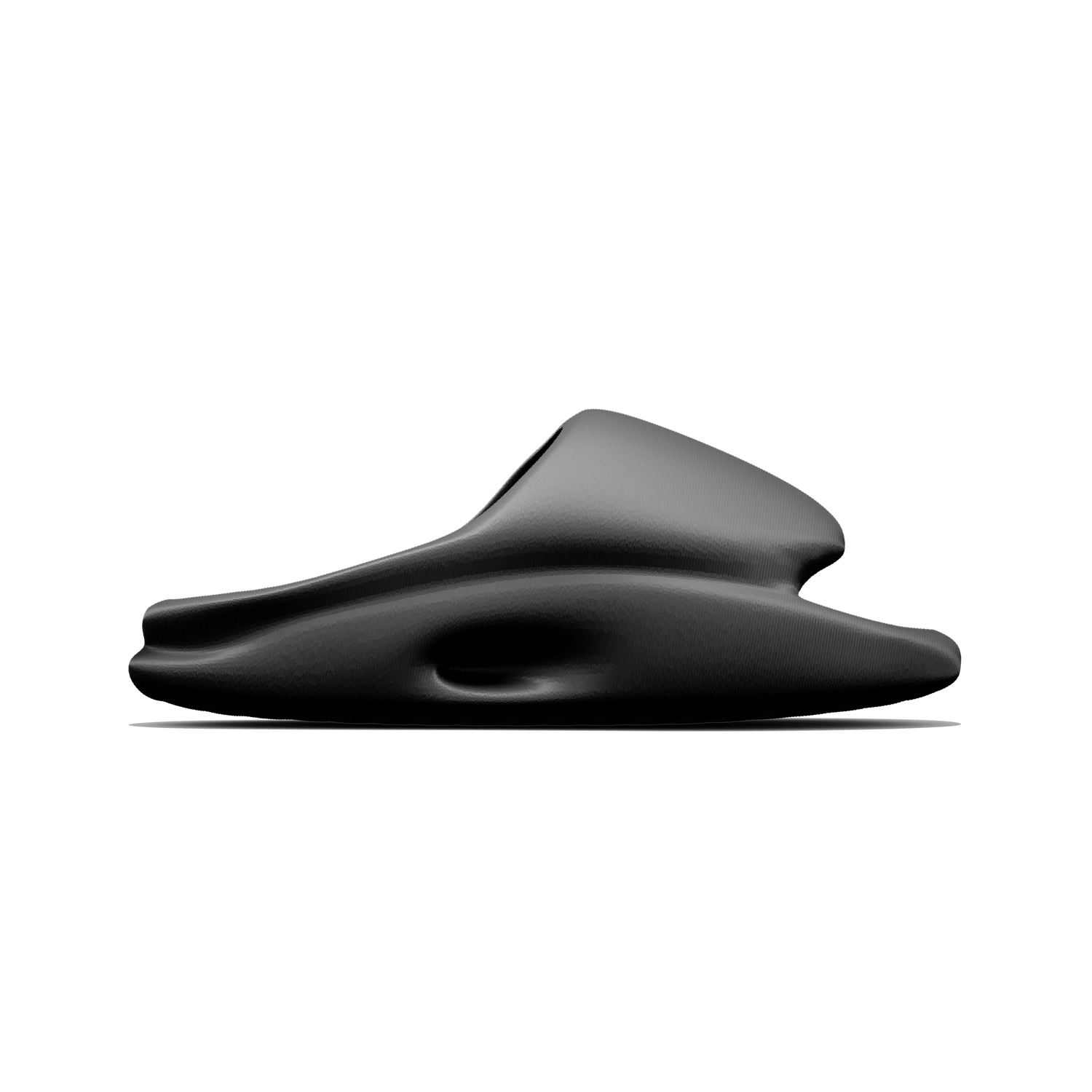 Vaquita Slide mysite
