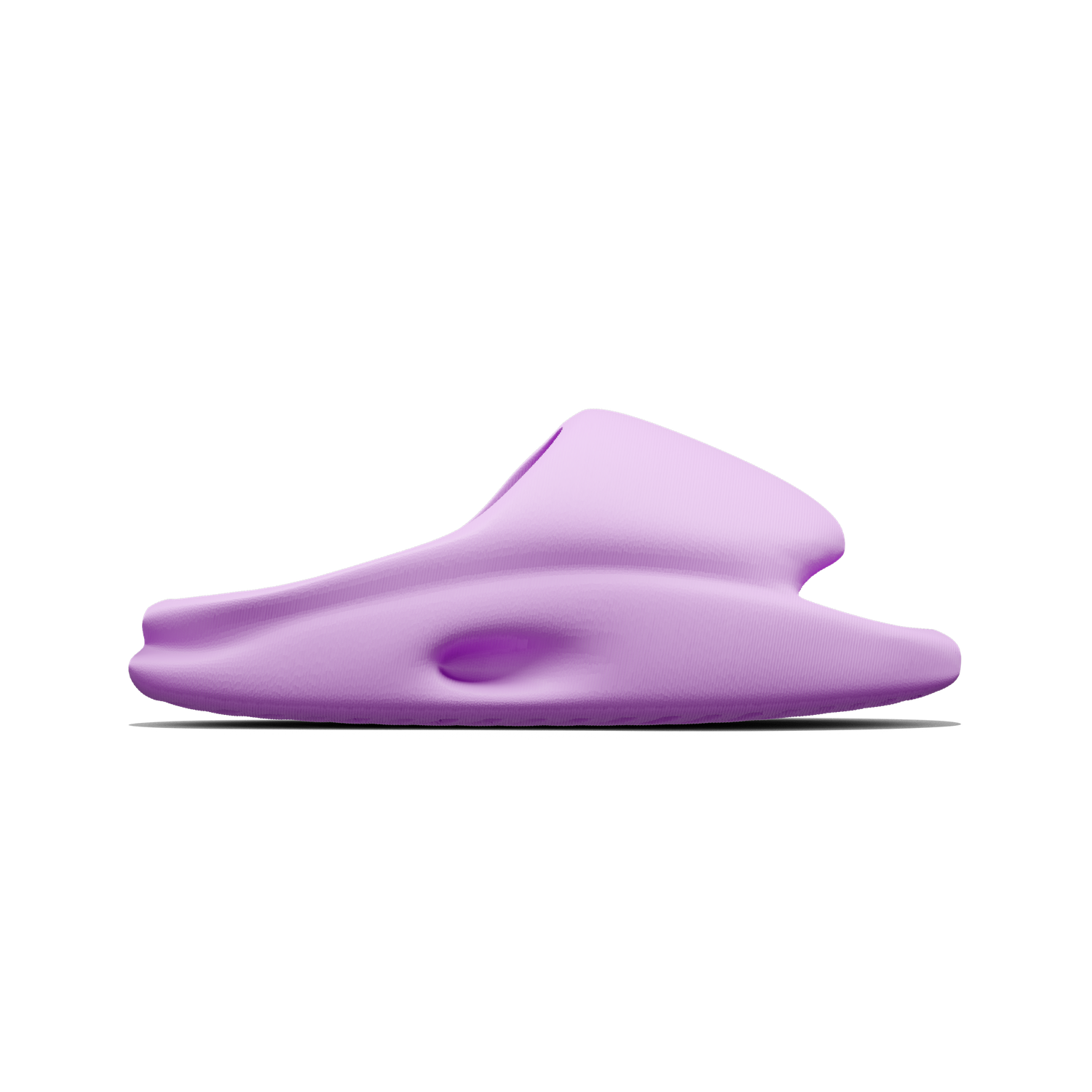 Vaquita Slide mysite