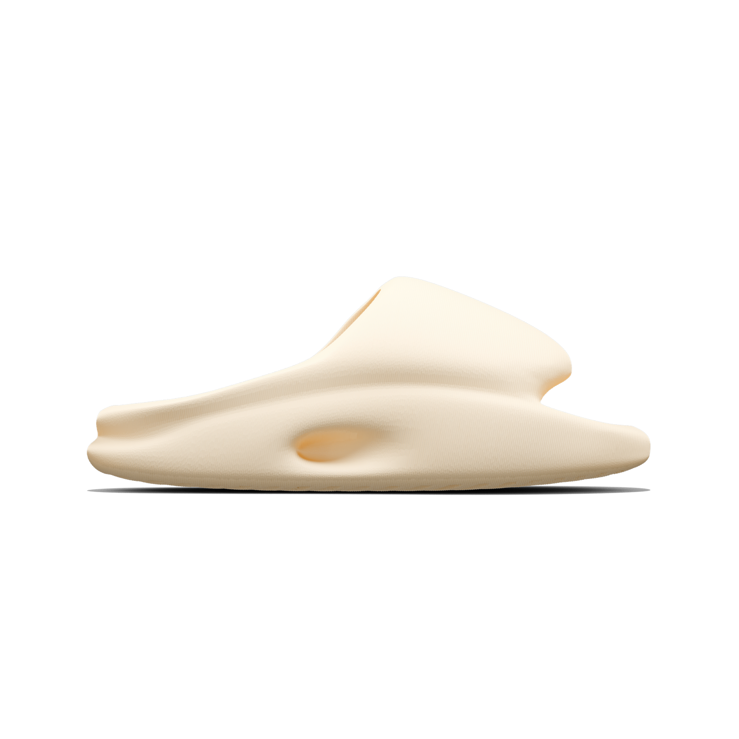 Vaquita Slide mysite