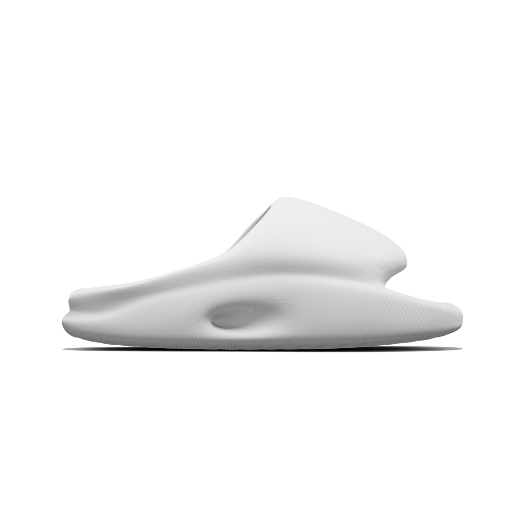 Vaquita Slide mysite