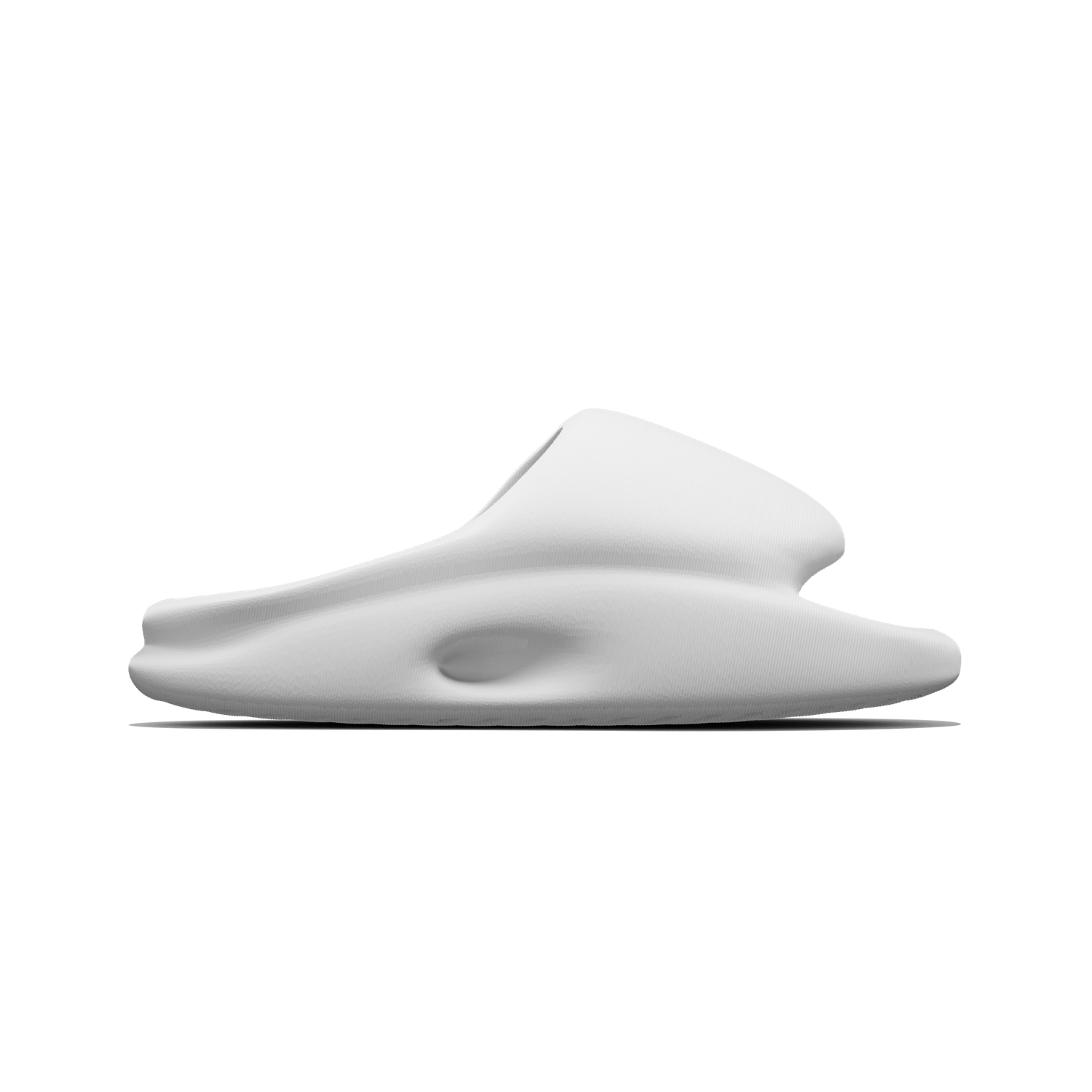 Vaquita Slide mysite