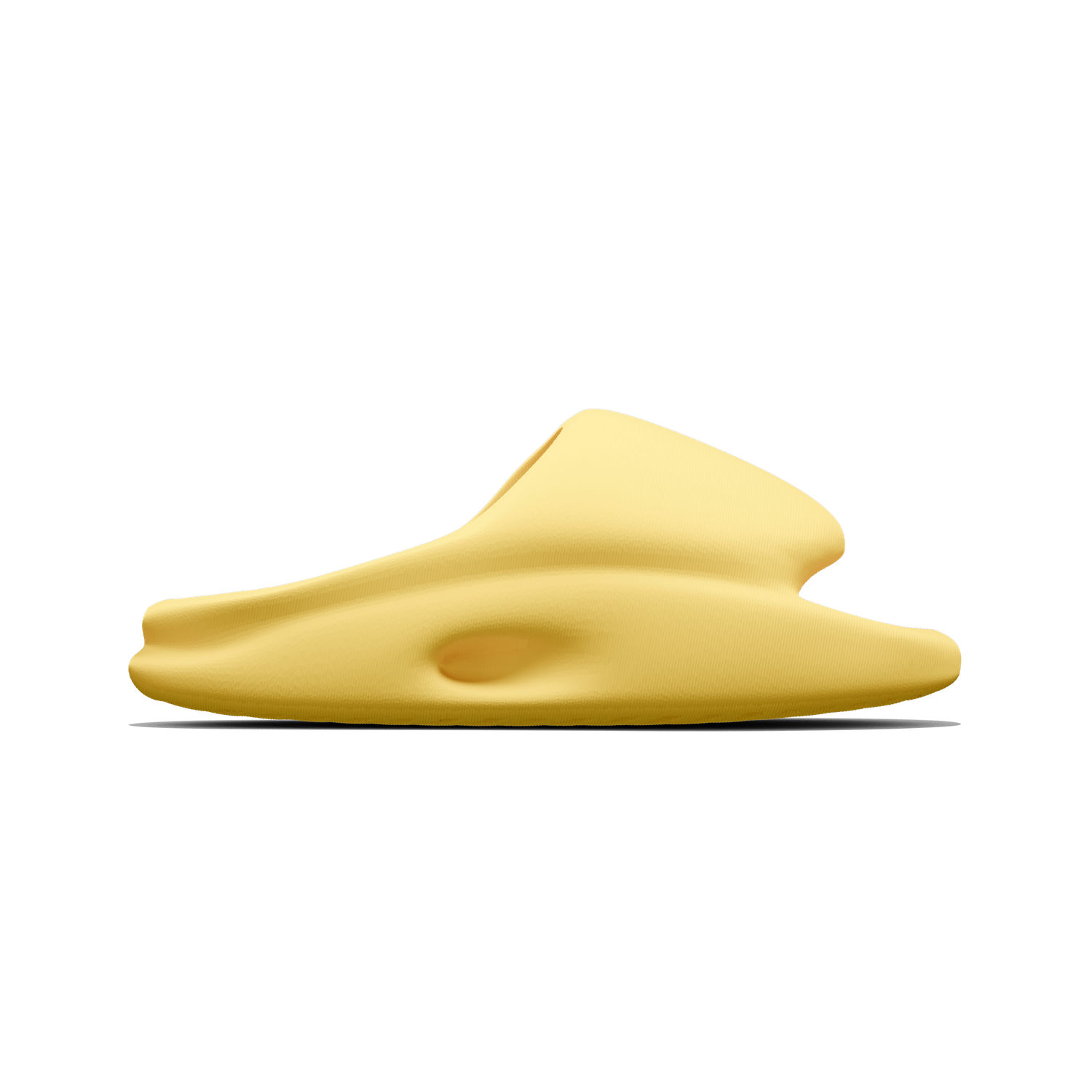 Vaquita Slide