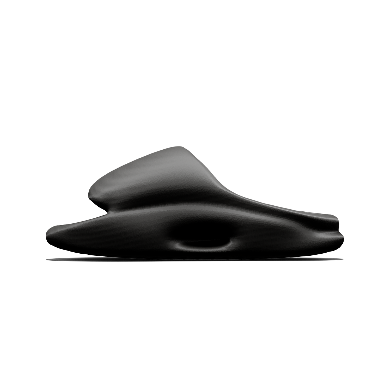 Vaquita Slide mysite