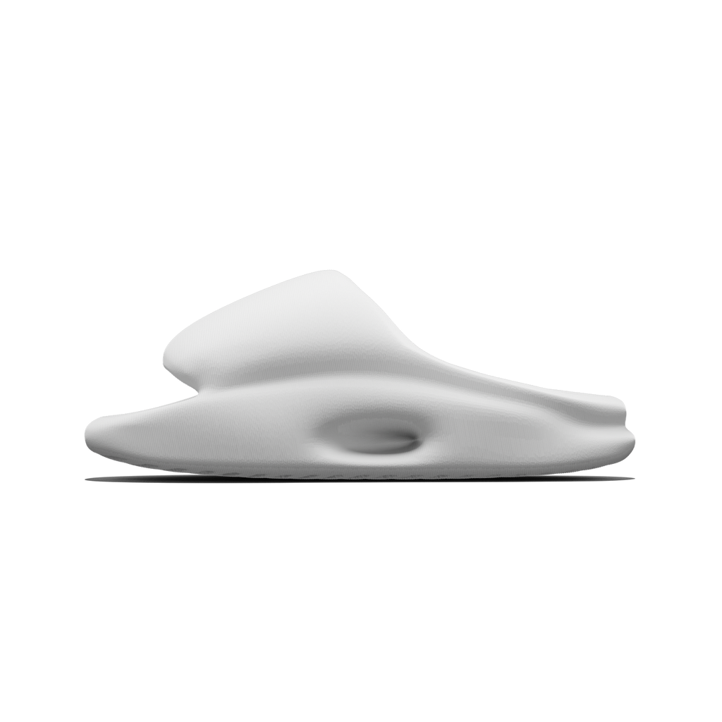 Vaquita Slide mysite