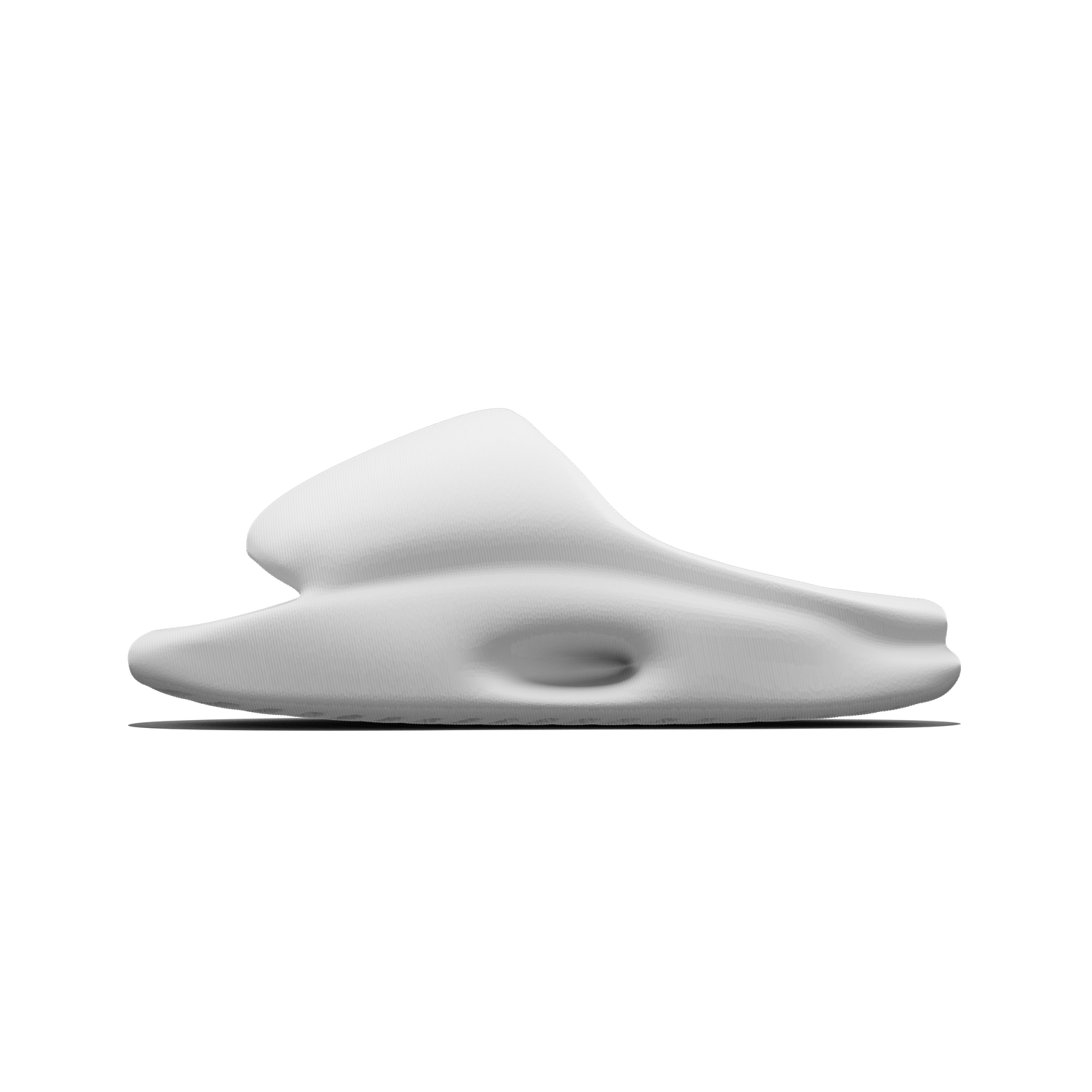 Vaquita Slide mysite